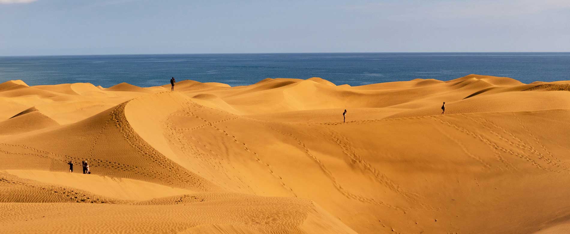 Dunes on the beach in Maspalomas.